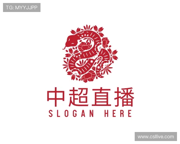 关于中超直播官方网站